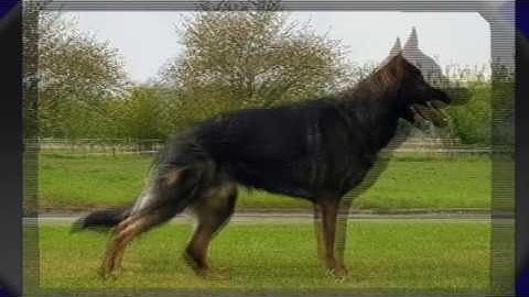 Vomar vom Waisagrund mei 2020