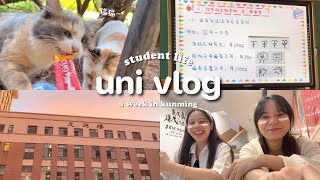 uni vlog 📚 หนึ่งสัปดาห์ของนักศึกษาจีน เรียนในห้อง, เจอเพื่อนๆ, ทำกับข้าวกินกันในหอ🥘 | ccreamyy