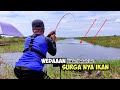 Masyallah!!! Hampir Gak Percaya di Sungai Mati ini ikan Nya Ganas ganas