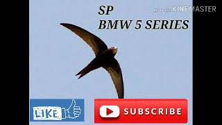 Suara panggil walet BMW SERIES