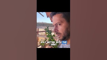 Tannery in Fez, Morocco | EP 73 s4 #morocco #imperialcities #travel