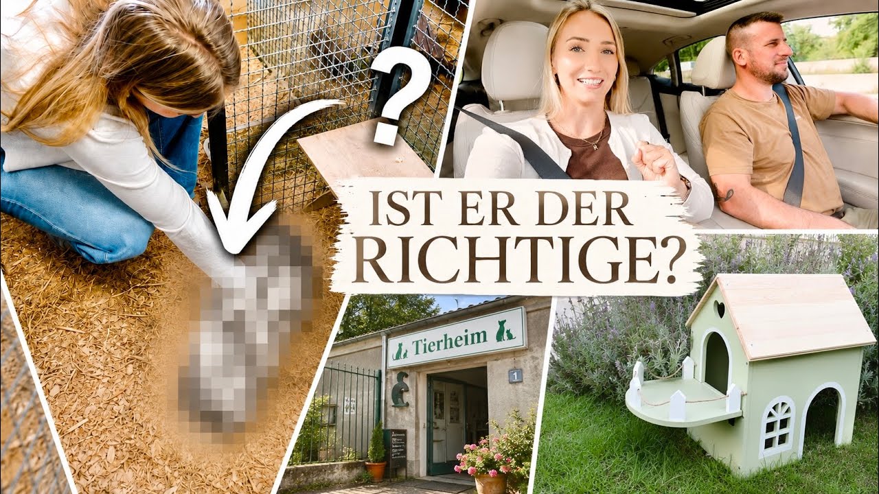 Partner für Ninchen?! Tierheim Besuch & Gehege Shopping