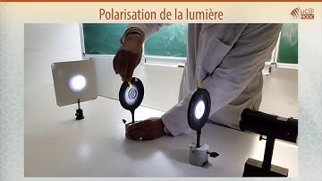 Polarisation de la lumière et Loi de Malus