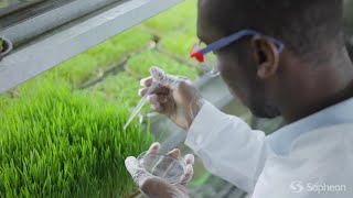 Chemical Manufacturing: Efficiency from Discovery to Launch