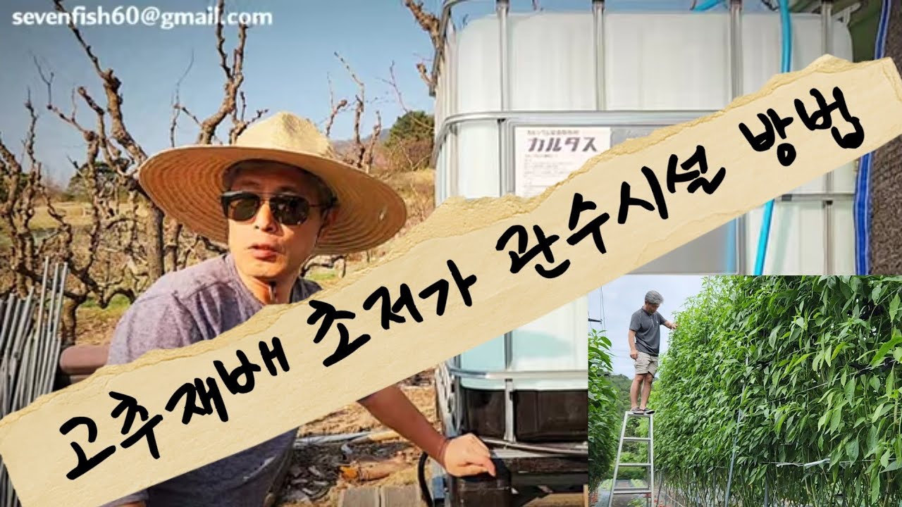 고추재배 다수확의 조건 [고추농사 관수시설은 선택이 아닌 필수] 텃밭가꾸기