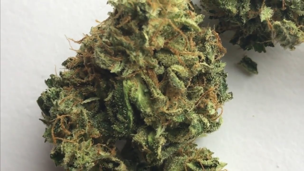 Ultimate Girl Scout Cookies strain review!! Moxie trim run viper cookies