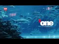 Dubai one  aquarium id old 2021