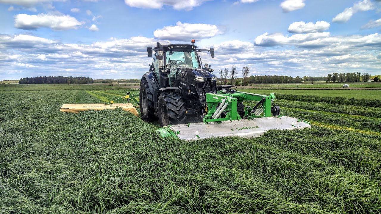 Sianokosy 2023 kosimy i przywracamy  gorzowską samasza kdf 340 Deutz Fahr 6165