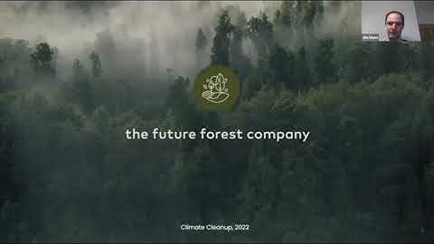 How reforestation, biochar and enhanced rock weathering work together in saving life on earth.