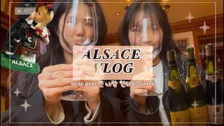 [VLOG] 프랑스 소도시 알자스 와인 여행🍷|스트라스부르|콜마르|에귀시엠|프랑스교환학생|유럽여행|일상|이거 마시면 나랑 헌터되는거다