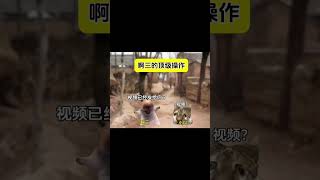 #猫meme小剧场 #猫meme #猫meme搞笑剧情 #猫meme剧场