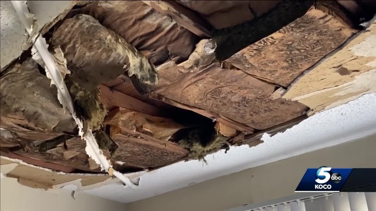 Woman calls OKC apartment's conditions unlivable after leak creates
