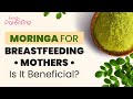 Consuming Moringa during Breastfeeding - Does It Increase Milk Supply?