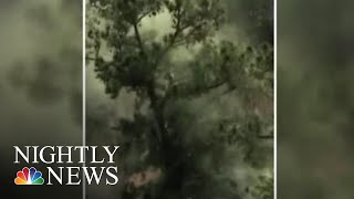 Doctors Warn Of High Pollen Counts This Allergy Season | NBC Nightly News