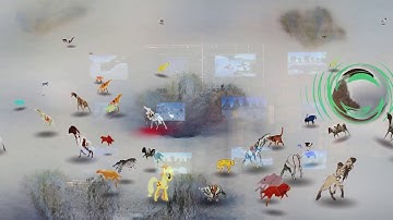 Walking with Unimals van Studio Pointer van Seelab