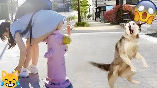 Best Funny and Fail Videos 2023 😂 Cutest People Doing Funny Things 😺😍 #Funny Life P120