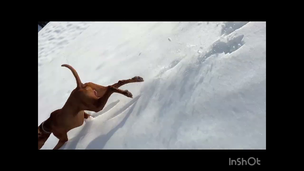 Splitboardtour Kühkranz 30.11.25