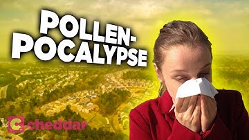 How Humans Caused Our Own Allergies - Cheddar Explains