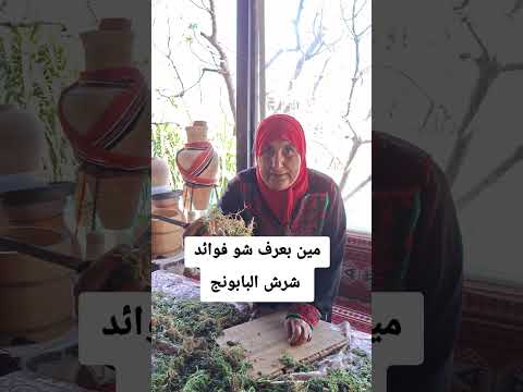 شرش البابونج