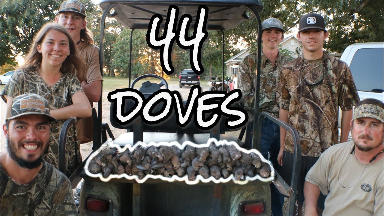 Dove Hunting Opening Day 2018 YouTube