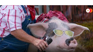 Slideshow: Odd and unusual images