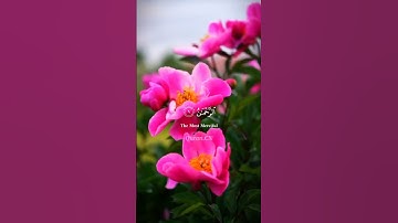 سورة الرحمن للقارئ ياسر الدوسري 🎧❤️‍🩹