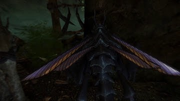 How to get the unique bow zephyr Skyrim Remastered