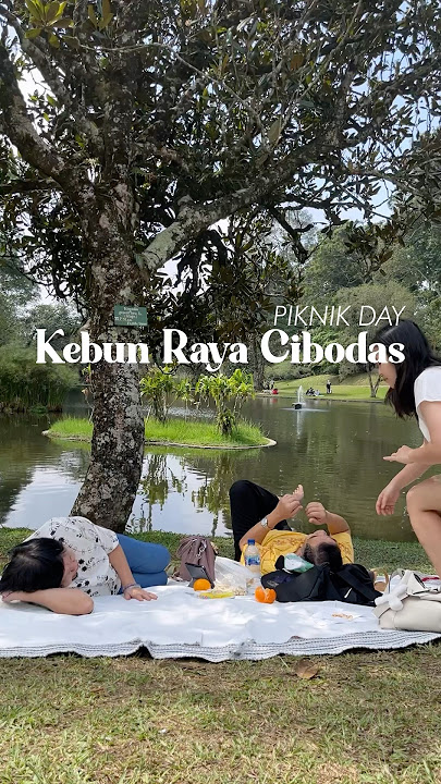 Cibodas I'm in love 🤍🫶🏻🤏🏻🌼🍀 #shortgetaway #piknik #cibodas #haeannajalanjalan #youtubeshorts