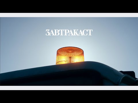 Видео: Завтракаст 254 – Котики и щеночки