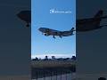 Four TAP Air Portugal Airbus A330s (CS-TUD, CS-TUC, CS-TON, CS-TUG) captured on final approach