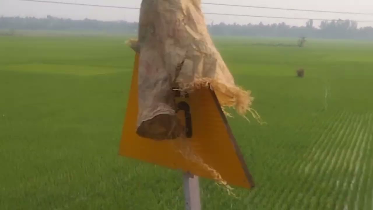 সকলে আমার  সঙ্গে ঘুরে আসবে।ভালো লাগবে তোমাদেরও।