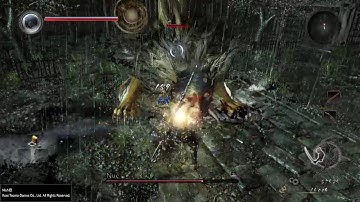 Nioh - Nue - Level 1 Flawless - No Roll/Block/Dodge
