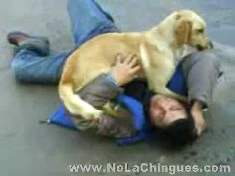 Borracho Violado por un Perro - No La Chingues.com