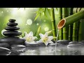 Soothing Relaxation Melodies – Piano and Nature Sounds for Peaceful Mind and Healing