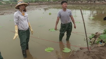 VIDEO: Sở KH&CN đánh giá thực hiện thí điểm xây dựng mô hình “Làng Văn hoá kiểu mẫu” tại xã Phú Đa
