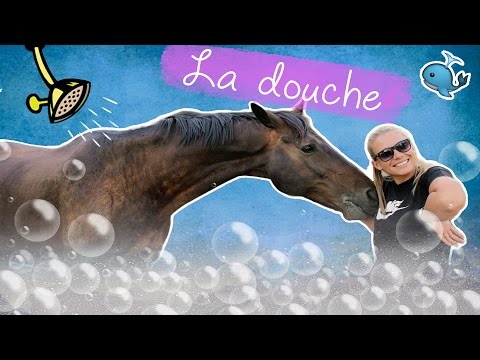 Vidéo: Comment Laver Un Cheval