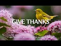 Give thanks  worship  instrumental music with scriptures  christian harmonies