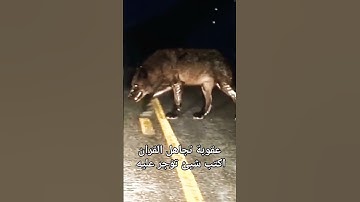 هذا خلق الله #راحة_نفسية #تلاوة_خاشعة #تلاوة_هادئة #تلاوات #اكسبلور #قران #اسلام_صبحي