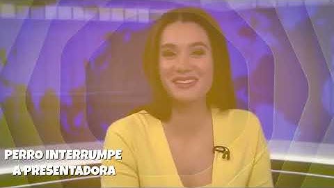 Nadie Esperaba Que Esto Sucediera En Vivo - 24 Momentos Vergonzosos De La TV EN VIVO
