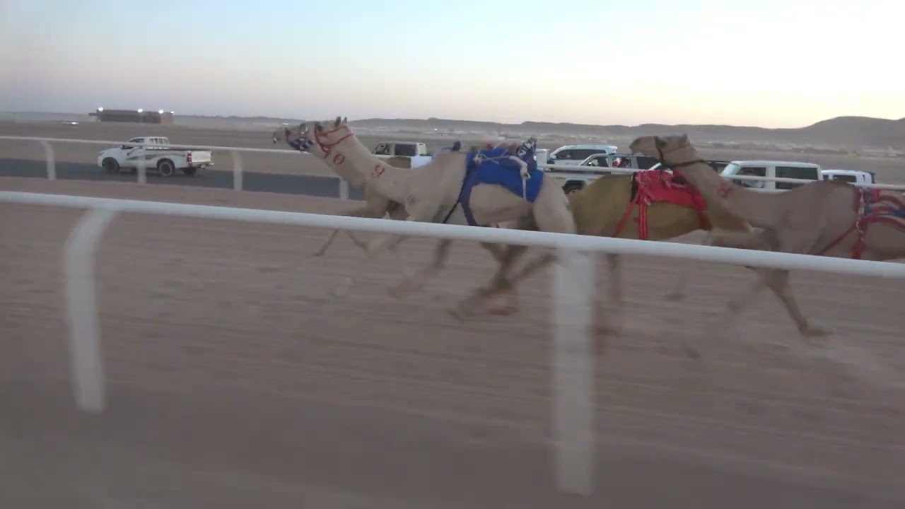 ٢-مغادر لـ صالح حمدان الحويطي