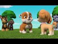 paw patrol - tag you it