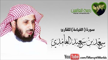 سورة القيامة - الشيخ سعد الغامدي