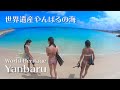 Snorkeling in World Heritage Northen part of Okinawa Yanbaru | CoffeBoat | | シュノーケリング@沖縄国頭やんばる