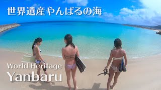 Snorkeling in World Heritage Northen part of Okinawa Yanbaru | CoffeBoat |  | シュノーケリング@沖縄国頭やんばる