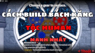 Cách build bánh răng tộc HUMAN mạnh nhất trong Blox fruits bạn đã thử chưa ? | Witch An