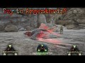 Ark - Ragnarok - Czy to Argentavis?! - 5