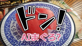 くら寿司 極み熟成フェアを食べてきたっ！