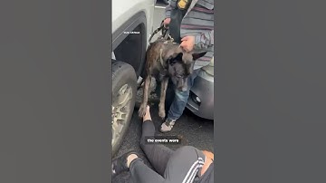 Senator calls for release of man detained by CBP, attacked by dog