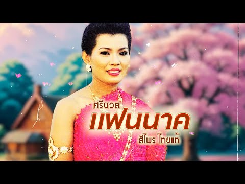 เพลง ศรีนวลแฟนนาค สีไพร ไทยแท้ LYRICS VIDEO พร้อมเนื้อเพลง