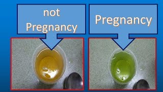 homemade pregnancy test | homemade pregnancy test with vinegar